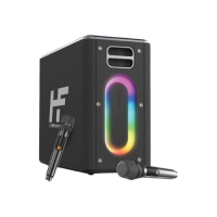HiFuture MusicBox 100W Karaoke Speaker